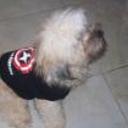 Scrappy