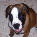 Neron