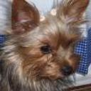 Beky