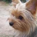 Beky