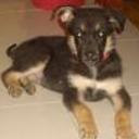 Duke