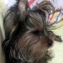 Sussy