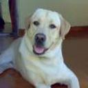 Felipe