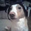 Chicho
