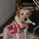 Wanda