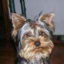 Coby