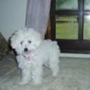 Nany