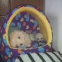 Nany