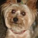 Coby