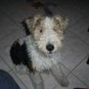 Athos