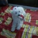 Nany