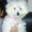 Nany