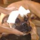 Mack junior