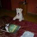 Athos