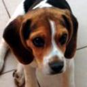 Fiona