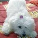 Nany