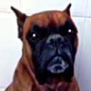 Tayson