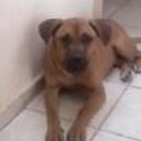 Lola