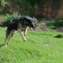 Lobito