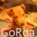 Gorda