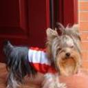 Brandy