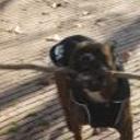 Rosky