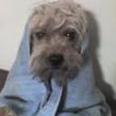 Camilo