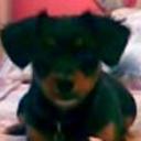 Coby