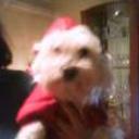 Rocko