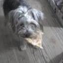 Romeo