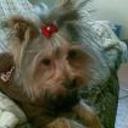 Buffy
