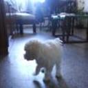 Luly