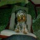 Facu