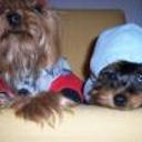 Benjamin y bianca