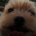 Chiky