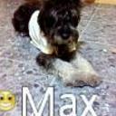 Max