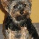 Lola