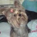 Triny