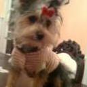 Lola