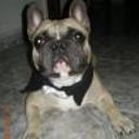 Tayson