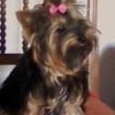 Lola