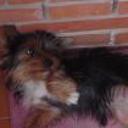 Linda