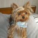 Mily