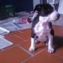Keysi