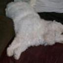 Lucy