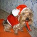 Chiki