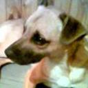 Rako