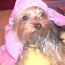 Triny