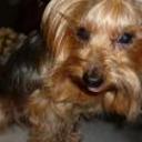 Chiki
