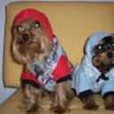 Benjamin y bianca